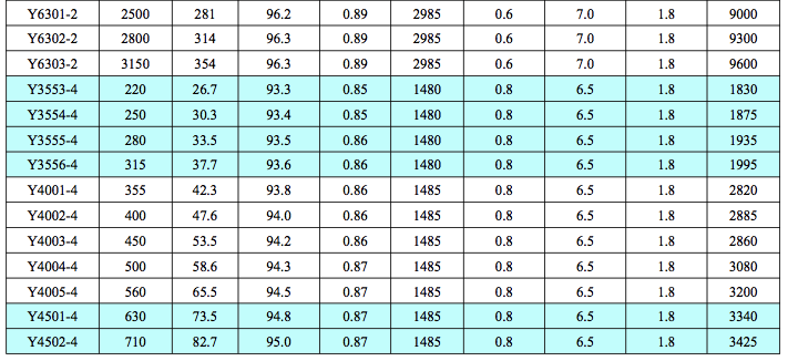 Y6kV中型高壓電機(jī)2